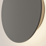 Настенный светодиодный светильник Maytoni Wald O420WL-L12GF