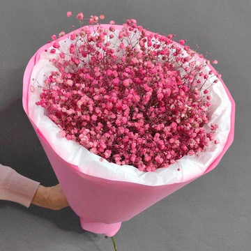 Букетик из малиновой гипсофилы