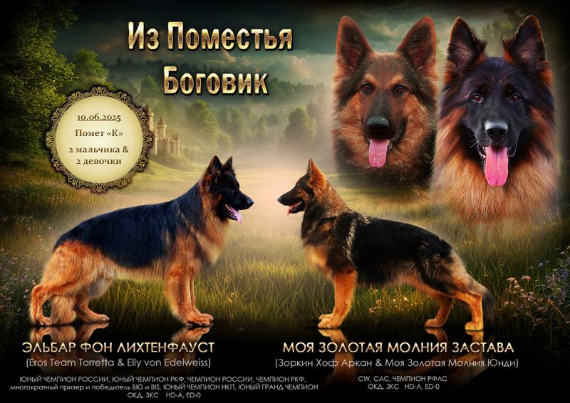 Помет "К"