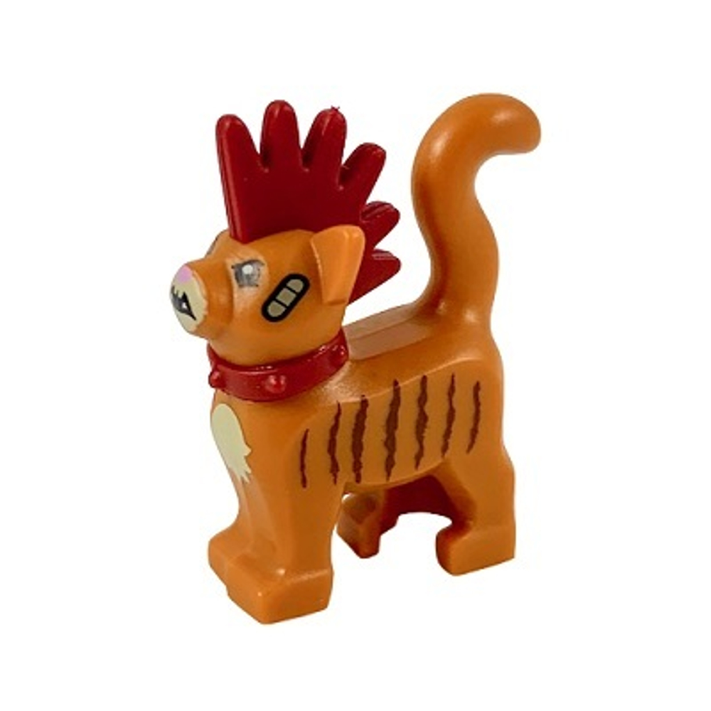 Кот с красным ошейником 39742pb01