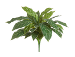 Аглаонема Страйпс куст бело-зелёный в-47 см, д-60 см (Sensitive Botanic) 12/96 20.1156N