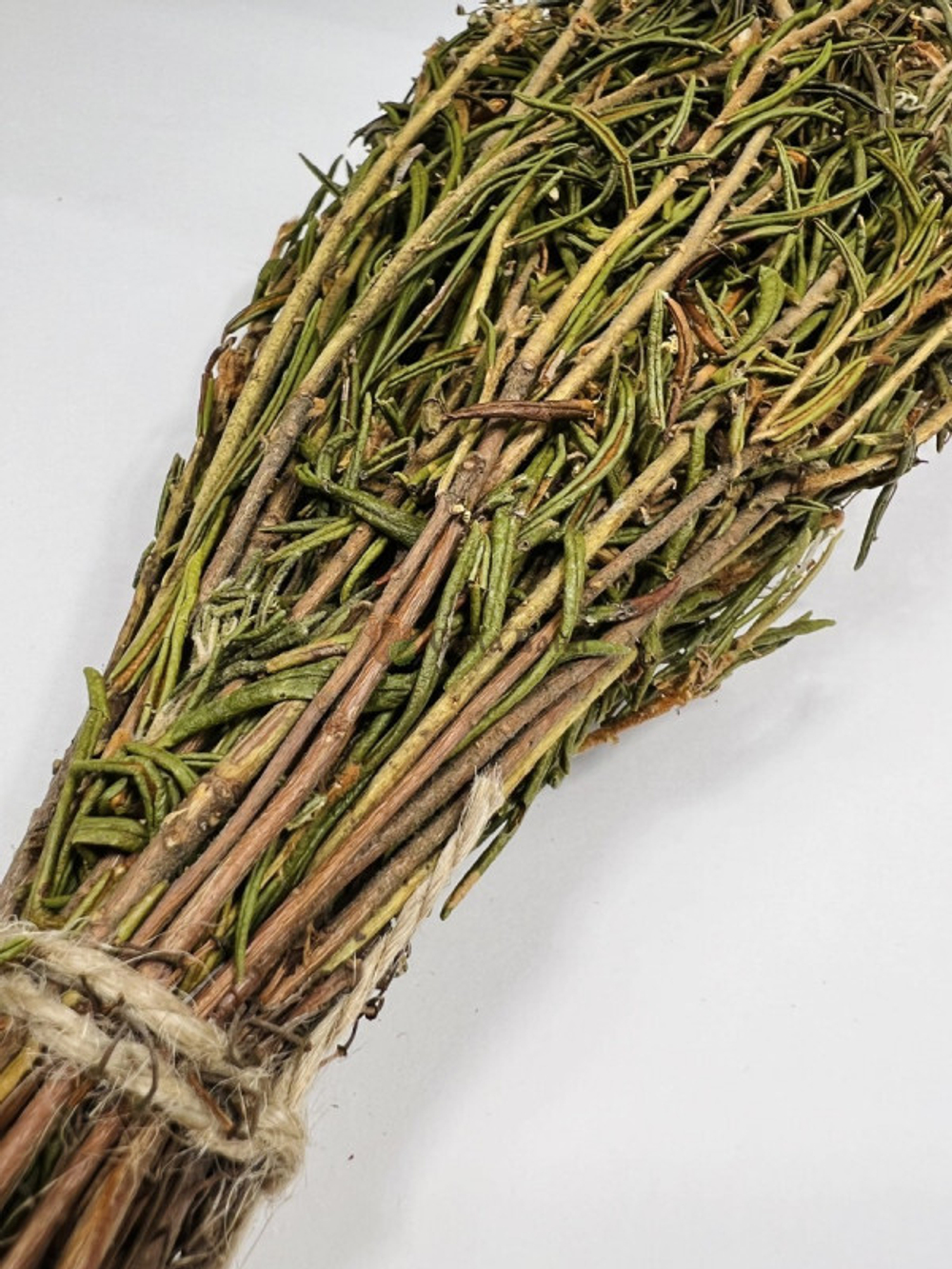 img_30-11_E_005.jpg img_30-11_E_005.jpg