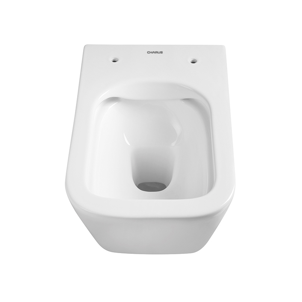 ALVA RIMLESS
Безободковый подвесной унитаз EWC700-114W