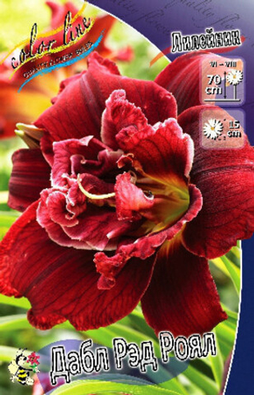 Лилейник Дабл Рэд Роял