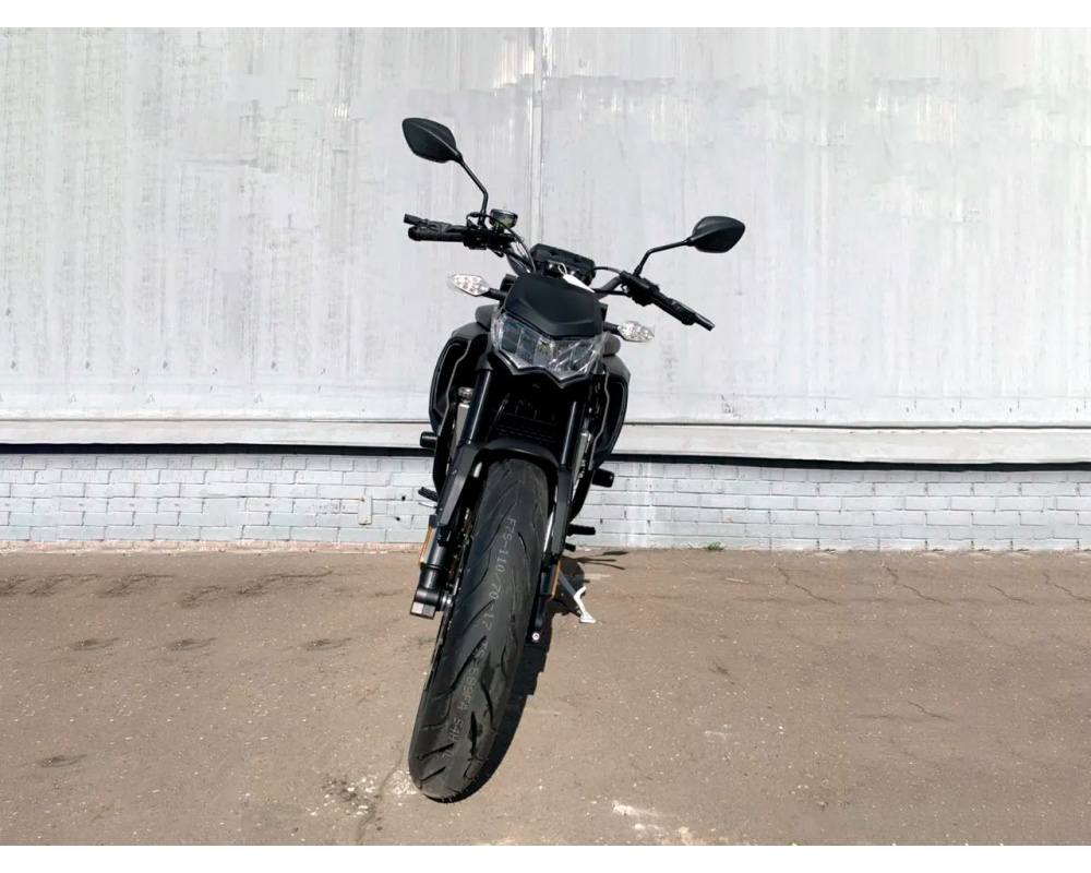 Мотоцикл Regulmoto ALIEN MONSTER 300 (Черный)