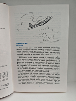 Познать себя в бою. Сталинские соколы против ассов люфтваффе 1941 - 1945