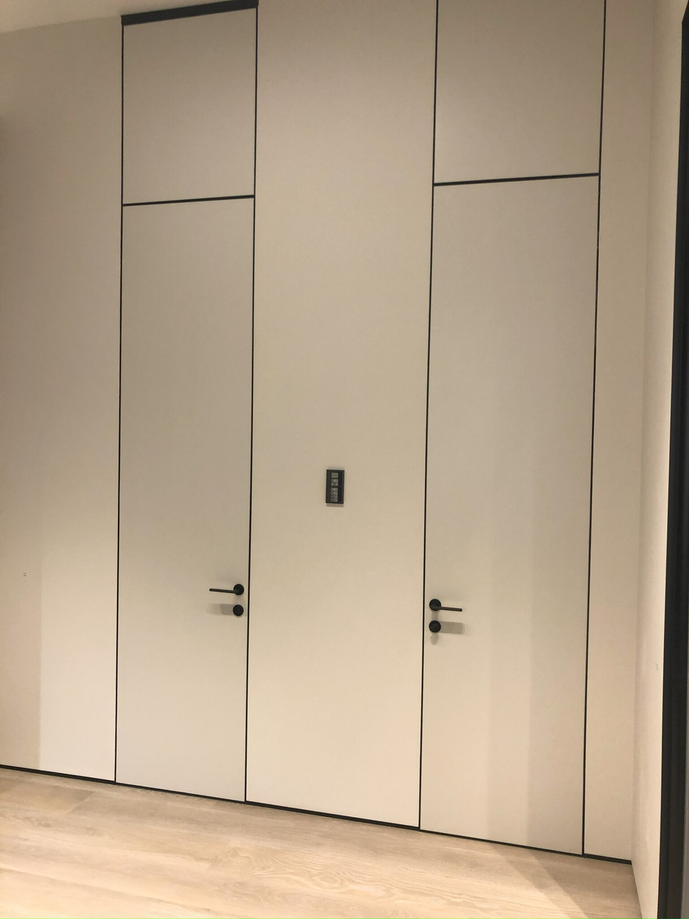 Элегантная межкомнатная дверь в современном стиле