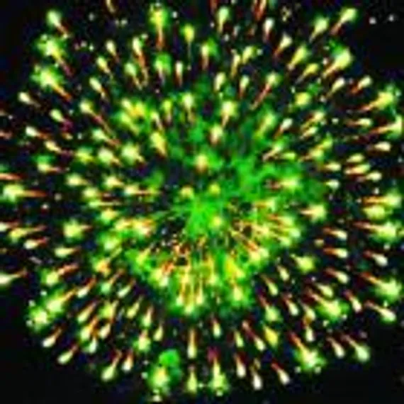 Гепард (0,8 х 5) Р5512