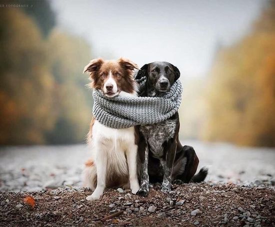 5 правил осенних прогулок