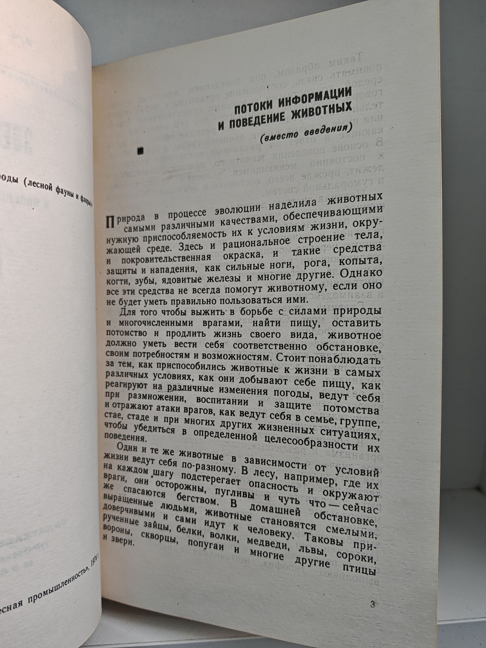 Звери начеку. Органы чувств и поведение животных
