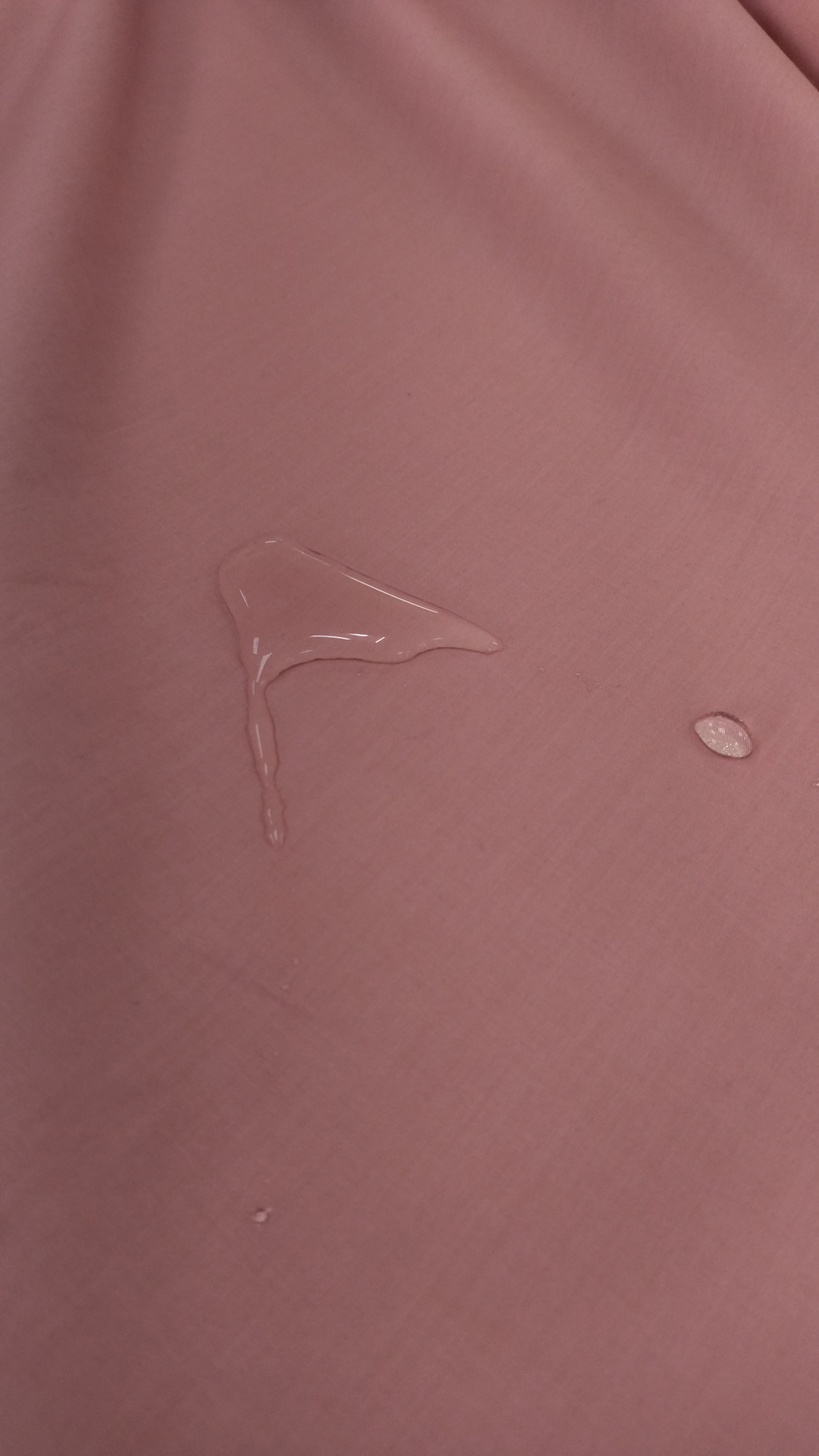 Плащевка Zegne