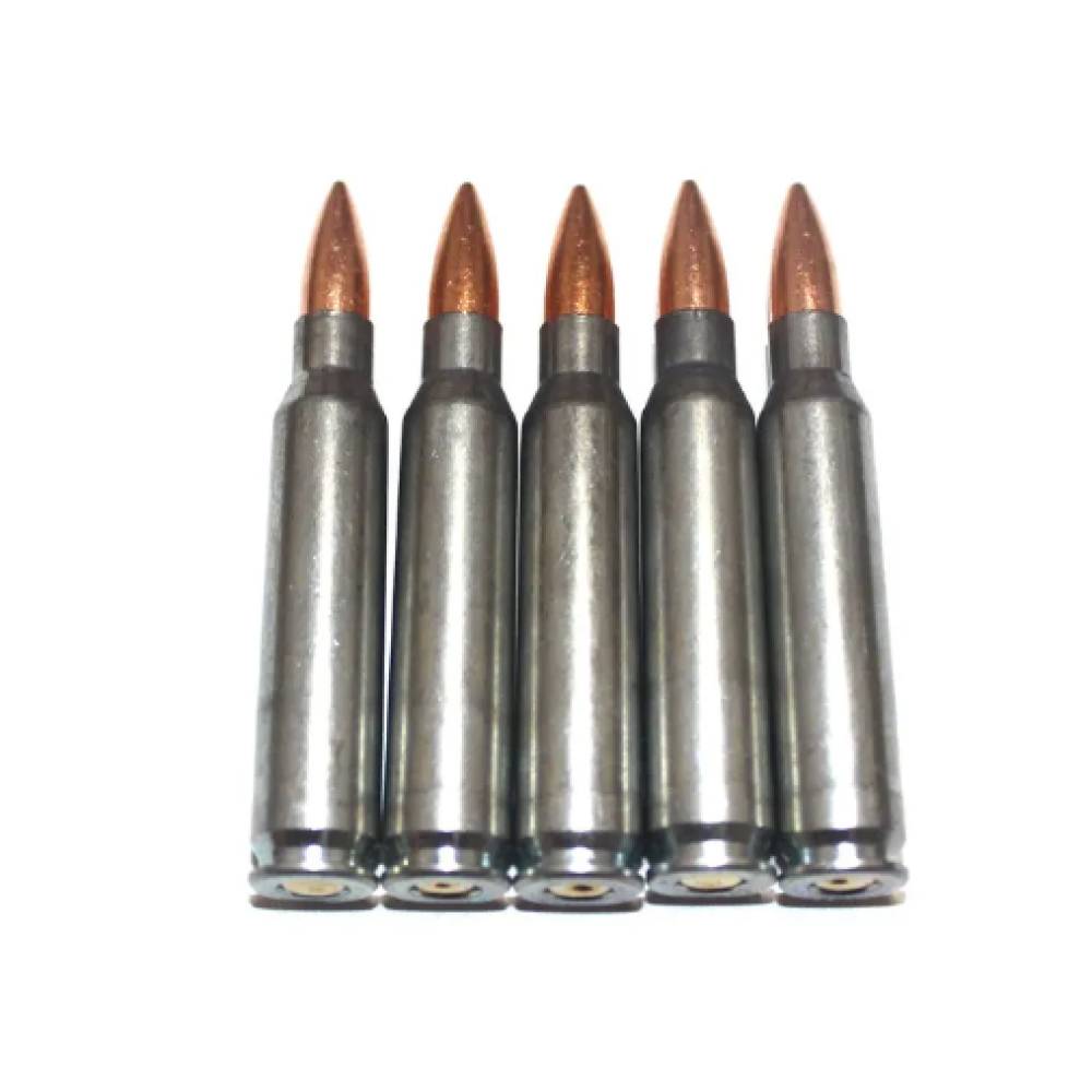 Учебный патрон 5,56х45 (223.REM NATO) (КОМПЛ.10шт.)