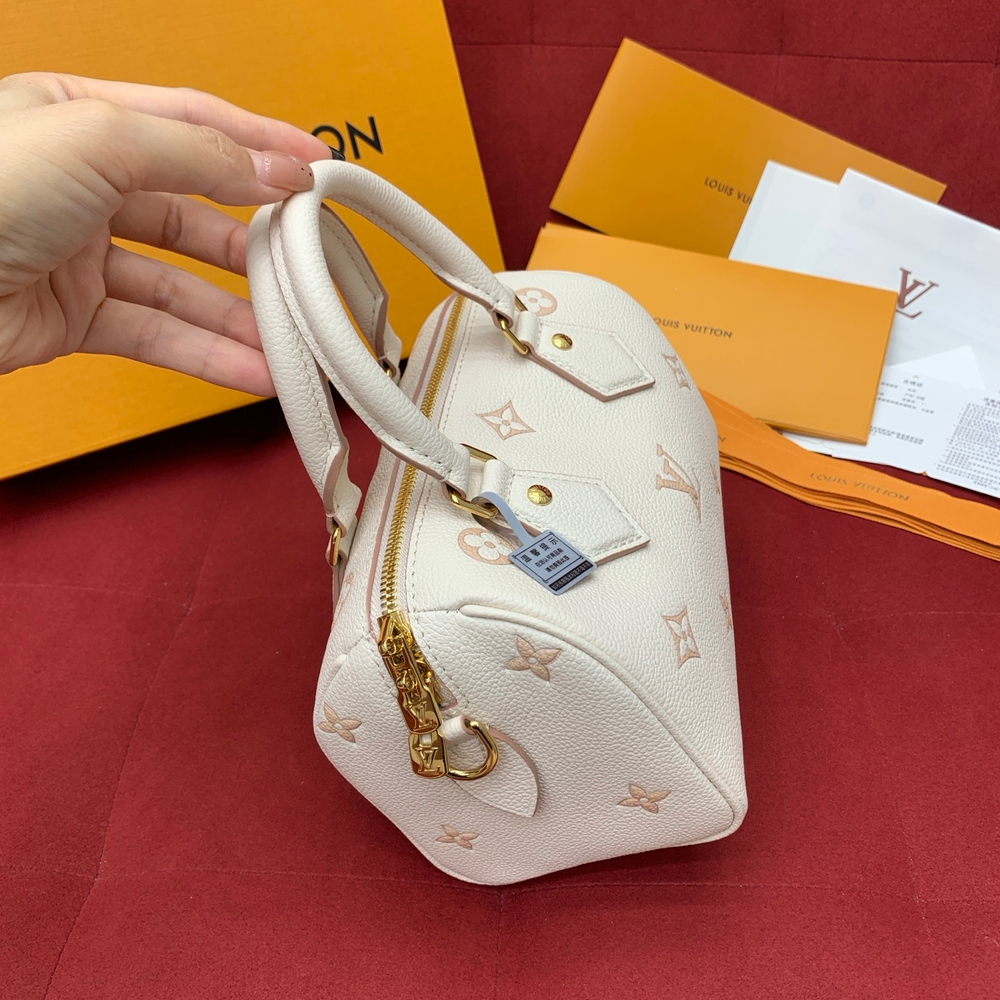 Louis Vuitton Speedy 20