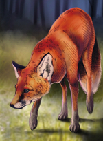 Экосистема