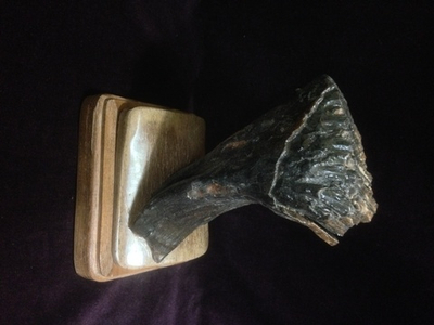 Зуб мамонтенка