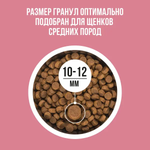 Bowl wow корм сухой для щенков средних пород с индейкой, рисом и ягнёнком с брусникой