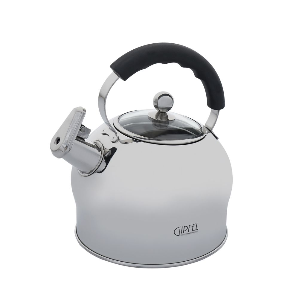 Чайник для плиты Gipfel Mattino 8605 2,5 л