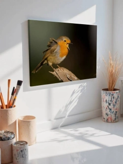 Картина на стену 40 X 50 Птица