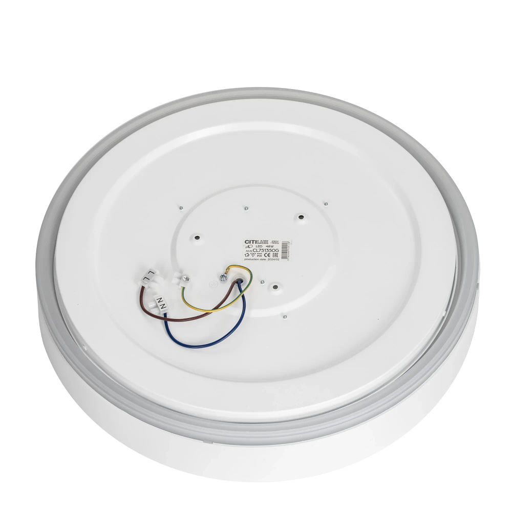 Citilux BOSS CL751350G LED RGB Светильник с пультом Белый