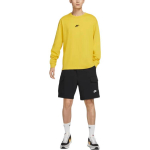 Шорты Nike Sportswear Sport Essentials Logo, DM6834-010