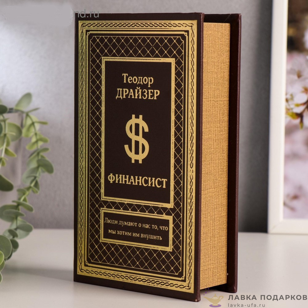 3955895 Сейф шкатулка книга "Финансист"