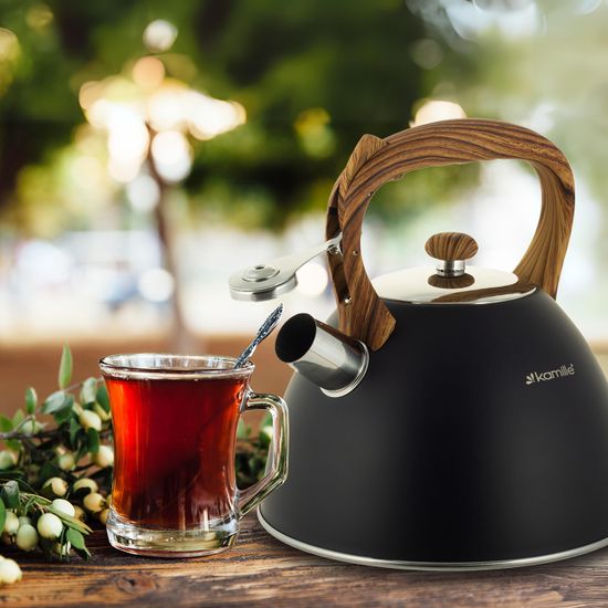 Чайник 3 л. из нержавеющей стали со свистком Kamille KM 0854