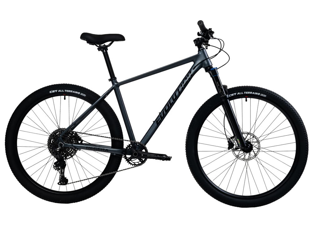 Велосипед 29" EVOLUTION REGERA HD, 19", алюм, 11 ск, air, серая сталь матовый, 2026