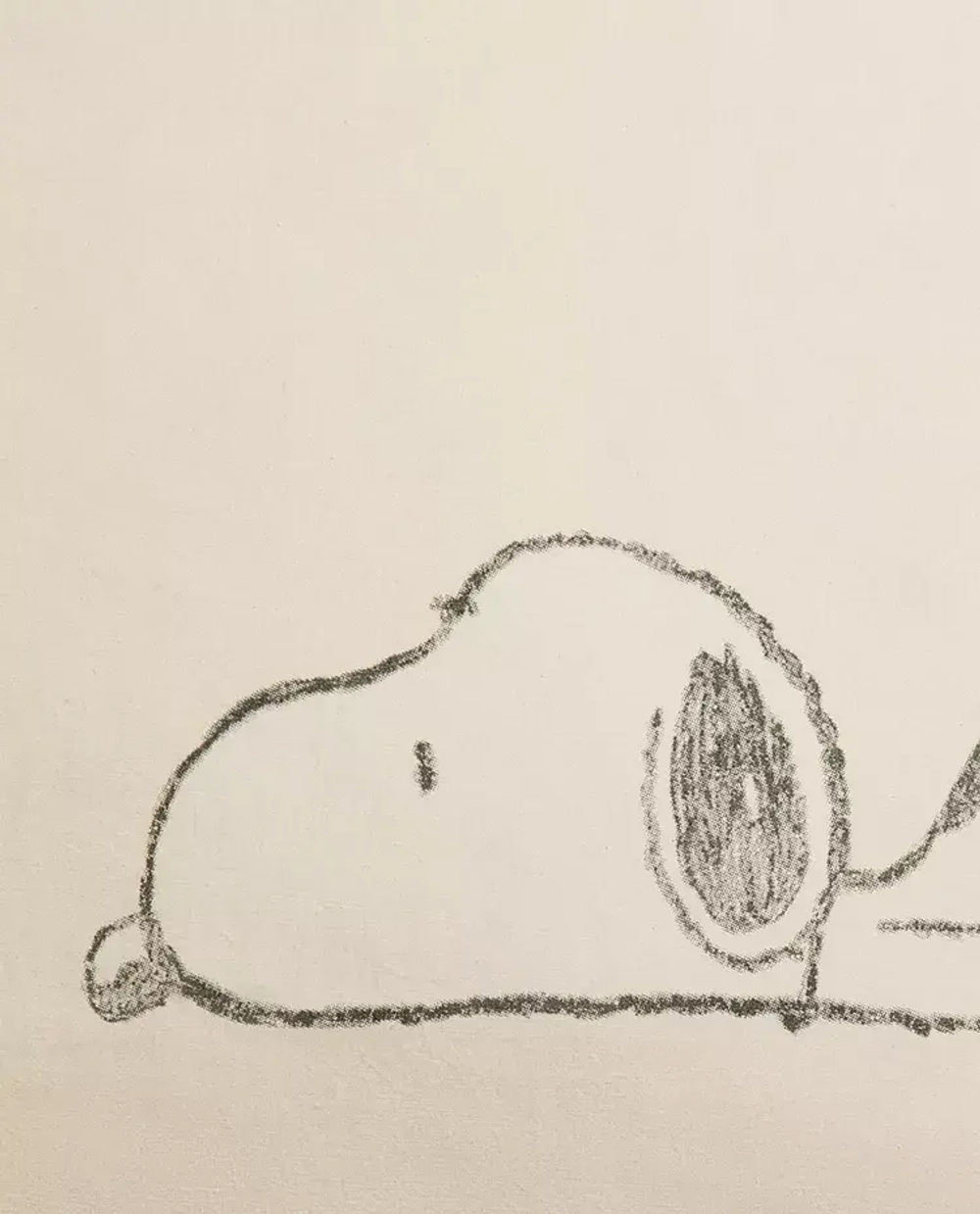 ZARA HOME НАВОЛОЧКА С ПРИНТОМ "CHILDREN'S PEANUTS™", РАЗНОЦВЕТНЫЙ