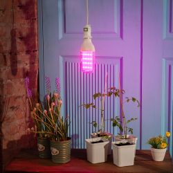 LED-B82-12W-SPBR-E27-CL PLP33WH Лампа светодиодная для растений. Форма DOUBLESIDE. прозрачная. Спектр для рассады и досвечивания в период роста. Картон. ТМ Uniel