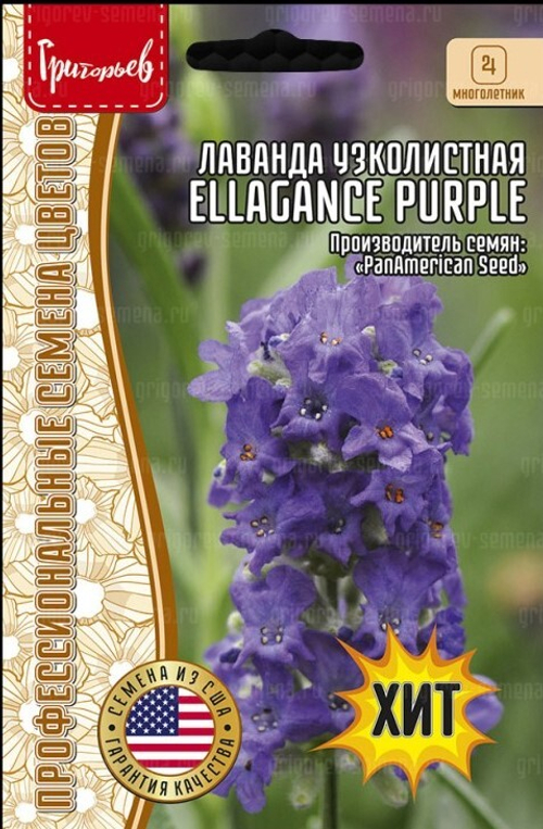 Лаванда Ellagance Purple узколистная