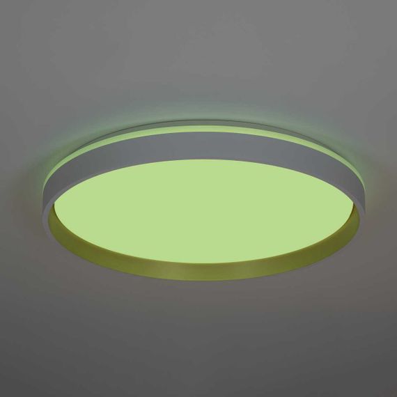 Светильник потолочный Citilux ENZO CL753510G