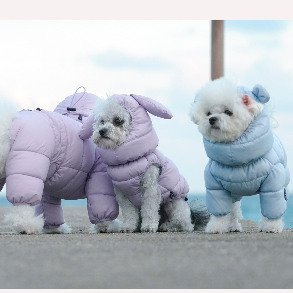 672 Комбинезон "Комфорт до -20-25°C" с молнией на спине, девочка/ COMFORT - FOR GIRLS, для девочки PREMIUM (SSOOOK)