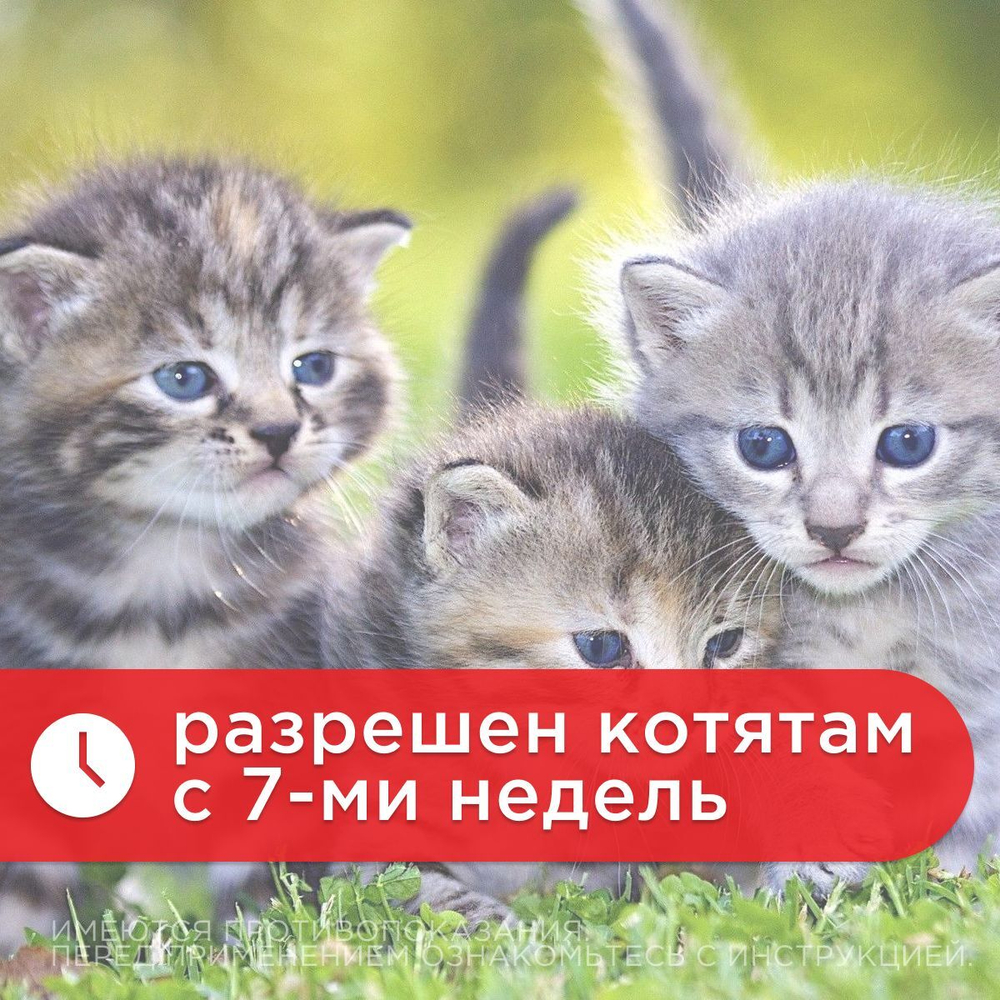 Капли на холку от клещей, блох и гельминтов для кошек от 4-8 кг Инсектал комбо К (Neoterica), 1 пипетка Фипронил/Моксидектин