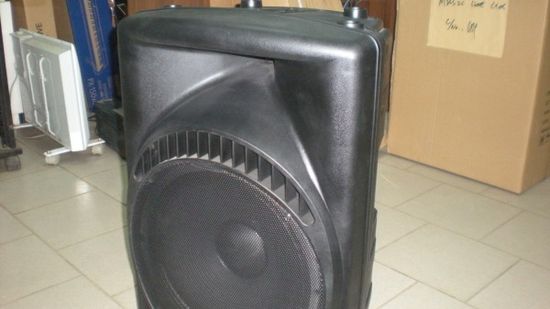 Акустическая система AUDIOVOICE EP215A