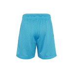 Шорты Nike Dri-FIT Standard Issue x Space Jam, DJ3897-434