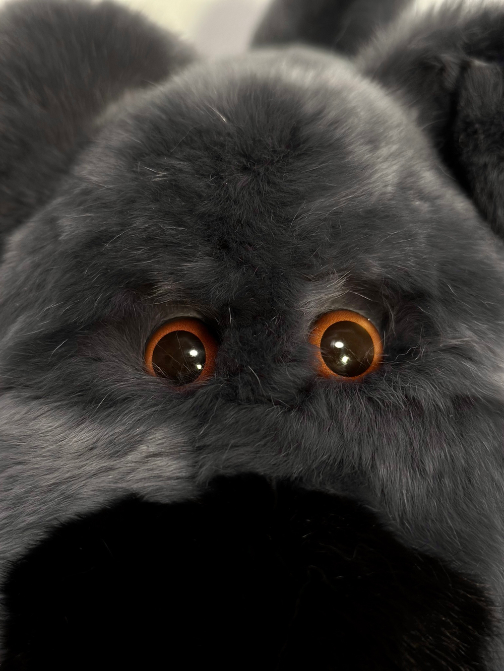 Собака Шанель гигантская (серая)