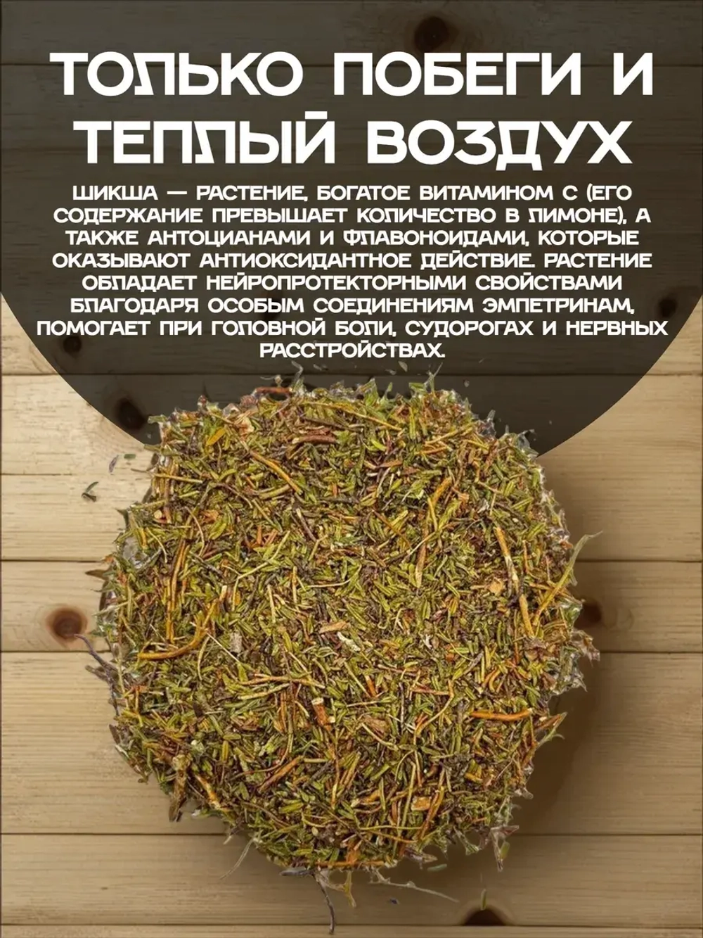 Шикша (побеги)