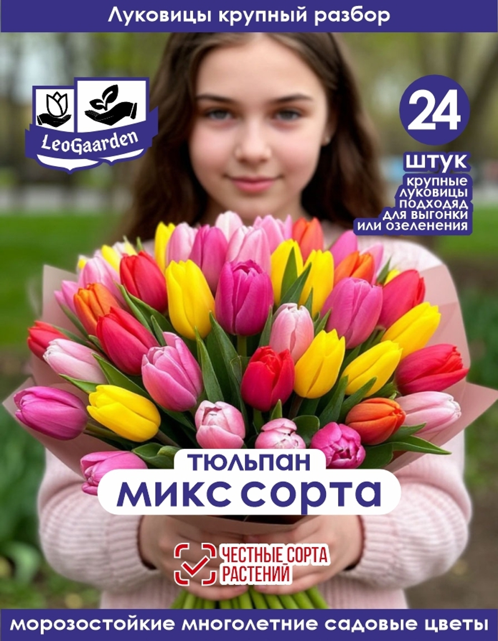 Тюльпан Луковица, Микс сортов, 24шт