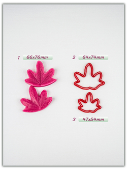 Лист мальвы. Сорт 2