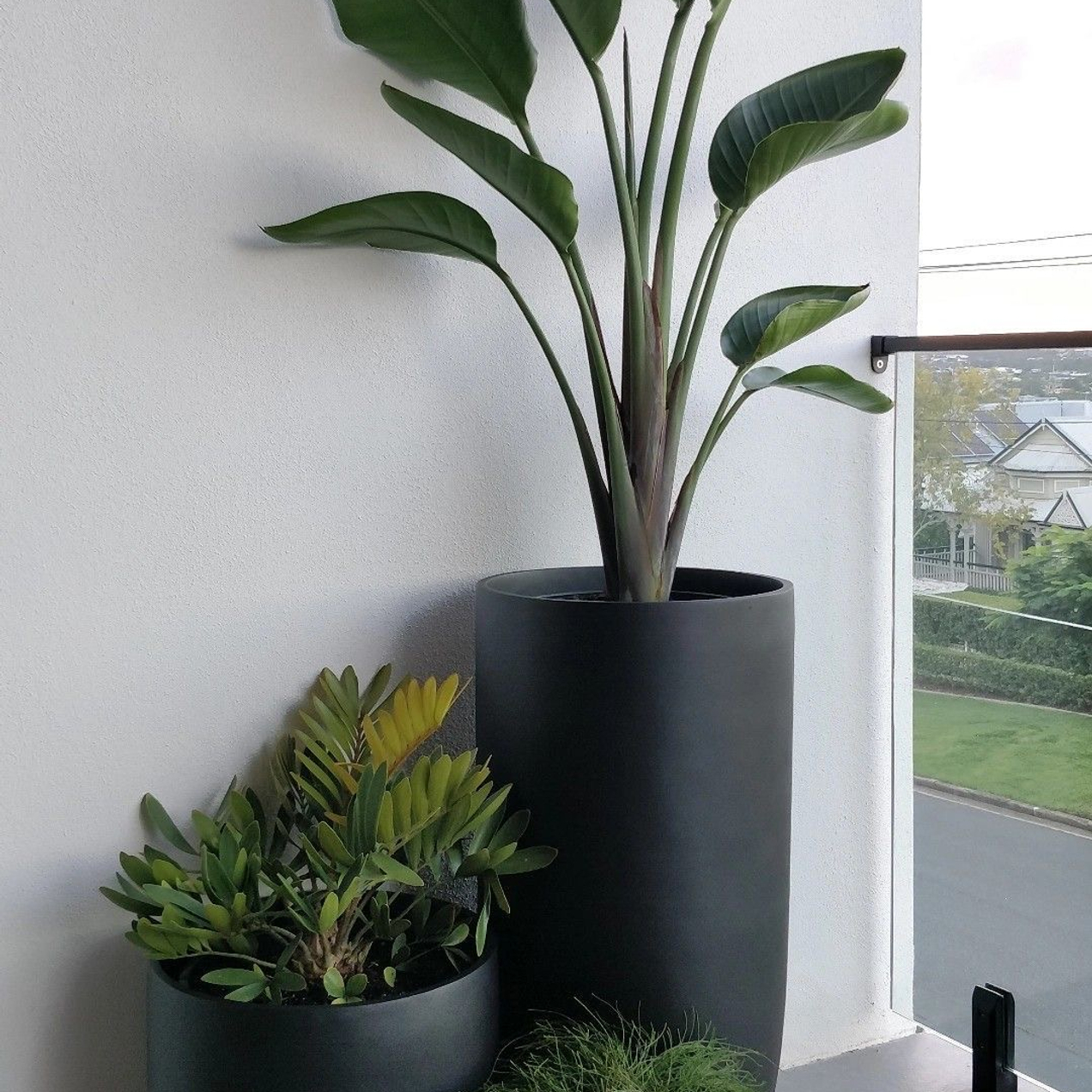 Planta — зелёные решения для вашего бизнеса!