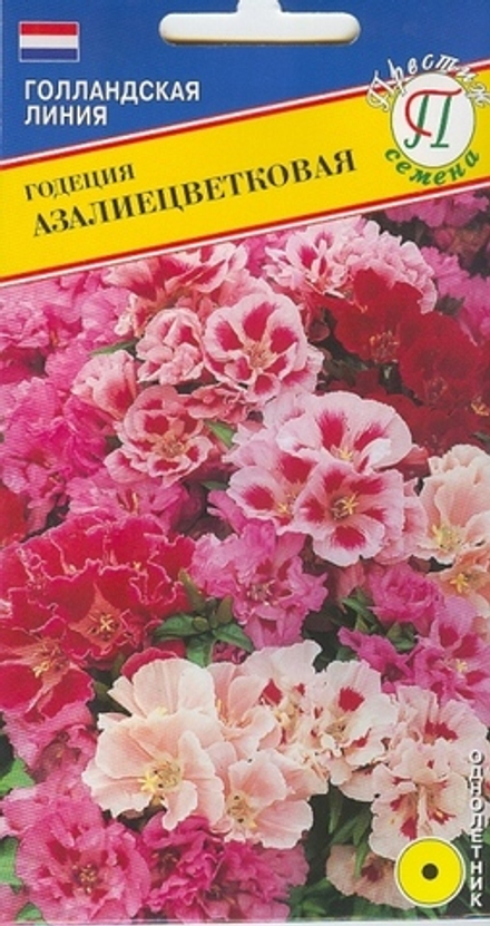 Годеция Азалиецветковая смесь Престиж