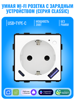 Умная Wi-Fi розетка с зарядным устройством USB и Type-C Smart Aura серия Classic без рамки