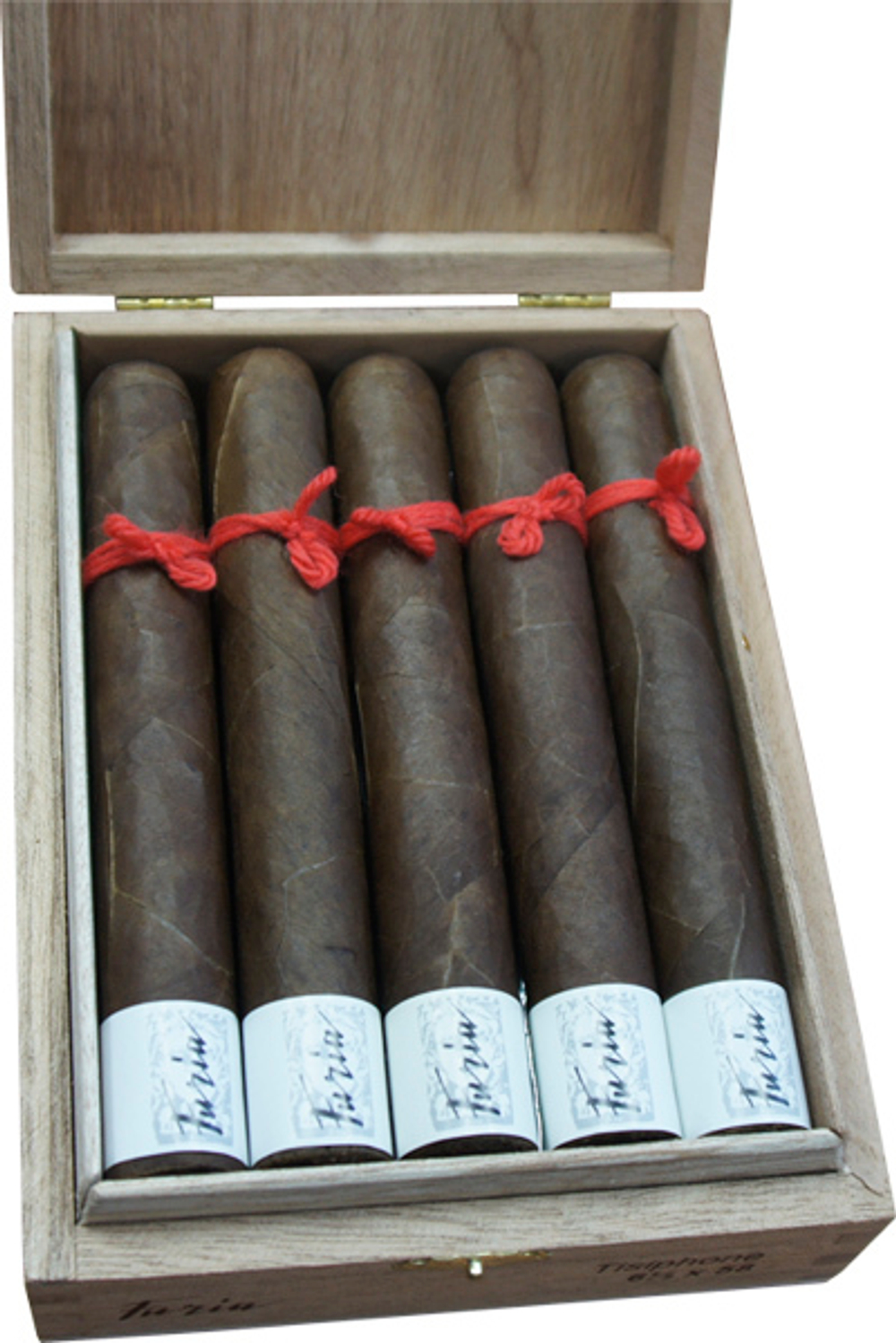 Nicarao Furia Tisiphone Gran Toro