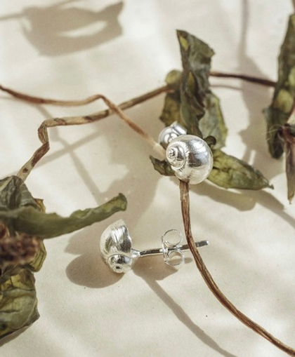 серьги малышки ракушки