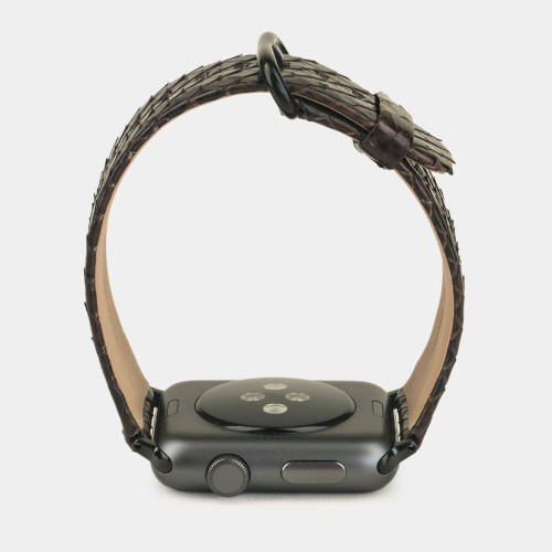 Ремешок для Apple Watch 40/41/42 mm из кожи питона, темно-коричневого цвета