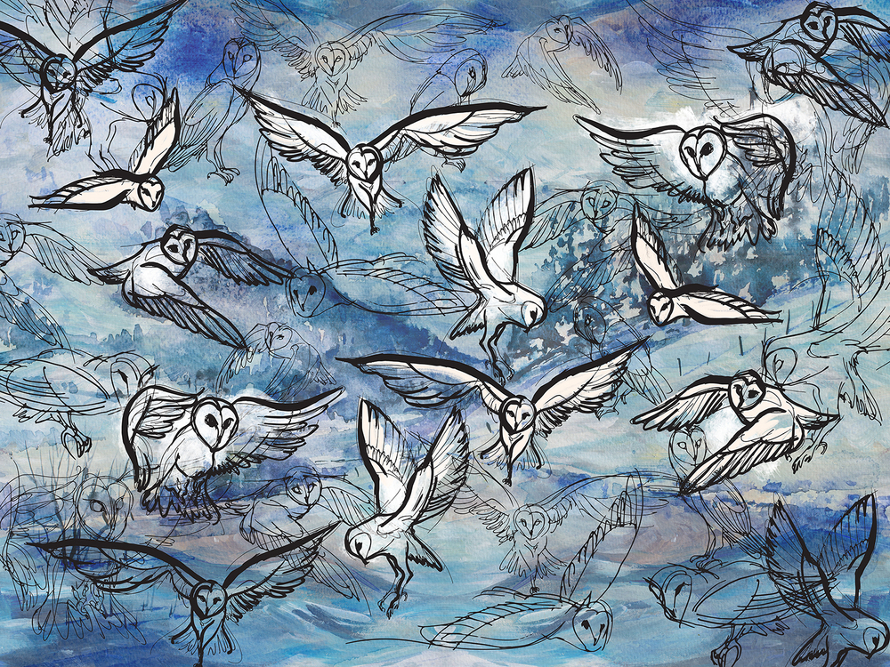 Коллекция SIBERIA