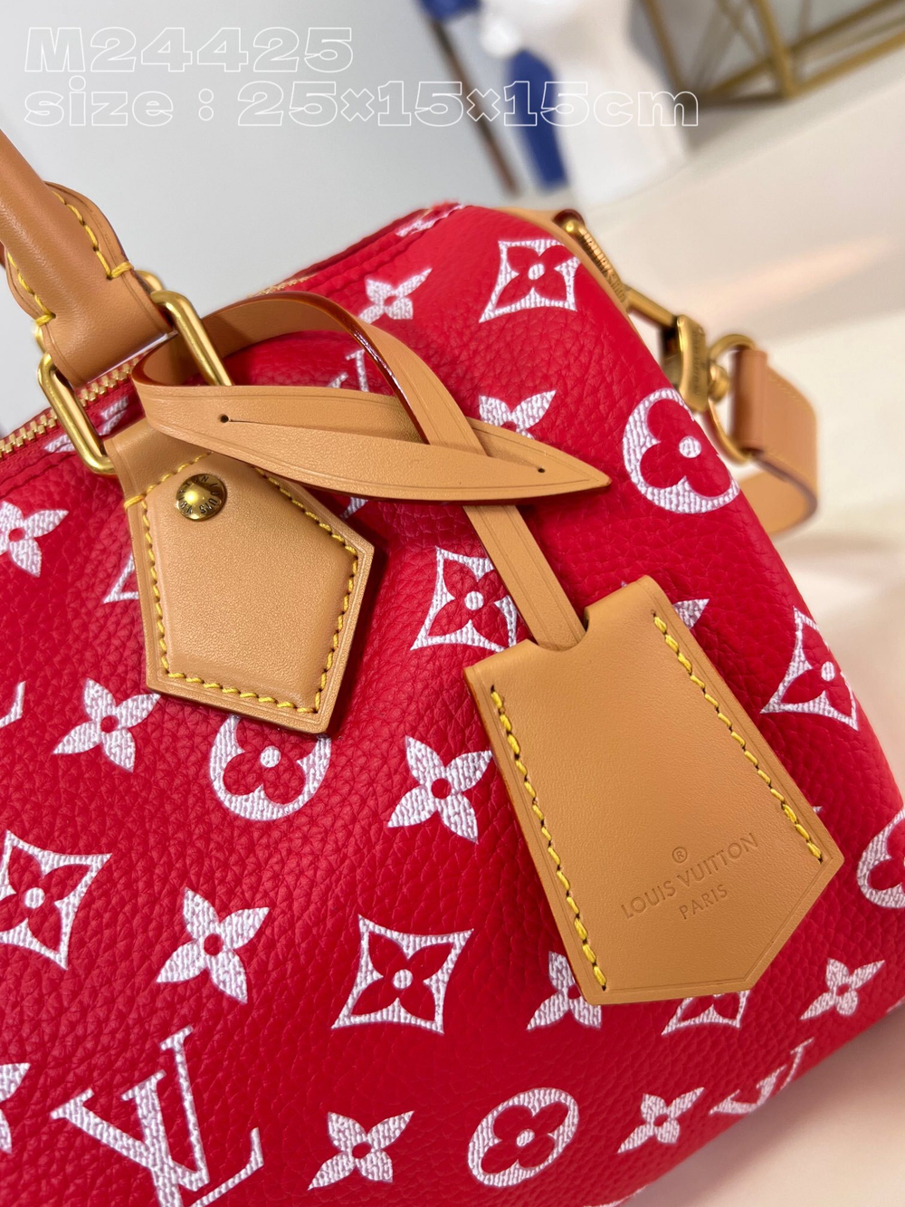 Louis Vuitton Speedy P9 Bandouliere 25