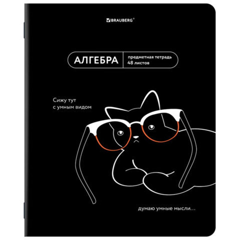 Тетрадь предметная МЕМЫ 48 л., TWIN-лак, АЛГЕБРА, клетка, подсказ, BRAUBERG, 405096