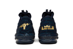 Кроссовки Nike Lebron 16 Titan Low Agimat
