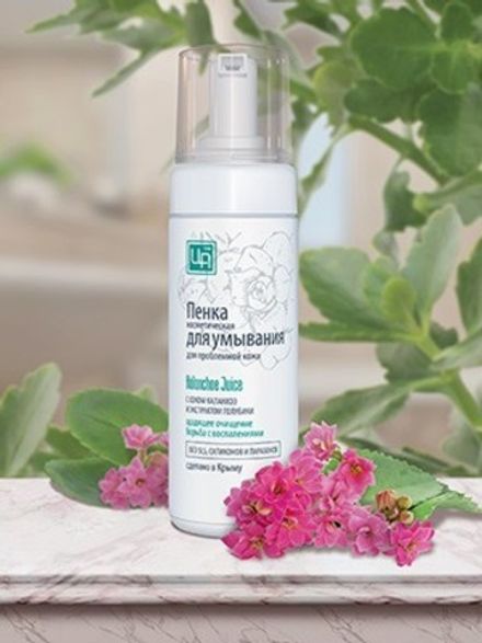 Пенка для умывания Kalanchoe Juice для проблемной кожи